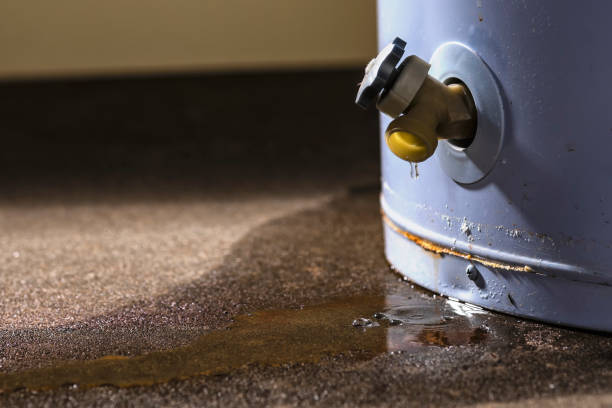 Best Ceiling water damage repair  in Sleepy Hollow, WY