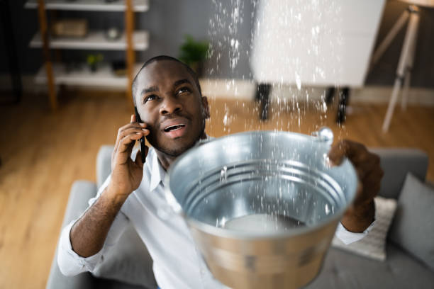 Best Water damage restoration specialists  in Sleepy Hollow, WY