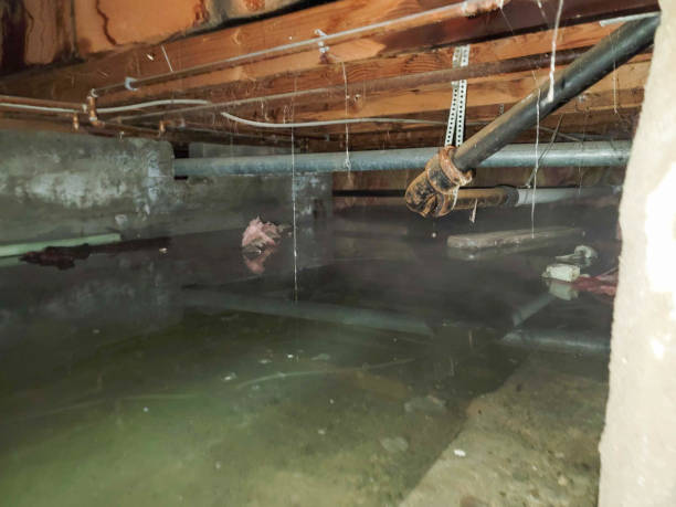 Best Ceiling water damage repair  in Sleepy Hollow, WY