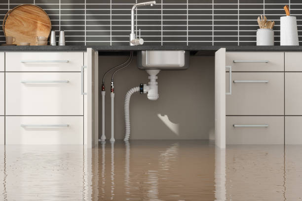 Best Water damage repair service  in Sleepy Hollow, WY