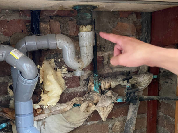 Best Basement water damage restoration  in Sleepy Hollow, WY