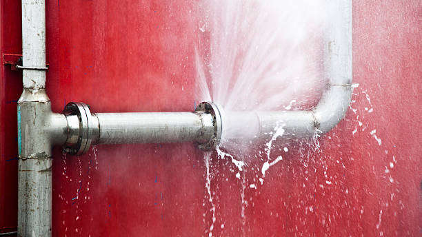 Best Local water damage restoration  in Sleepy Hollow, WY