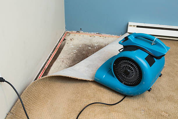 Best Emergency water damage restoration  in Sleepy Hollow, WY